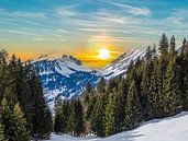 Winter in de Oostenrijkse Alpen van Animaflora PicsStock thumbnail