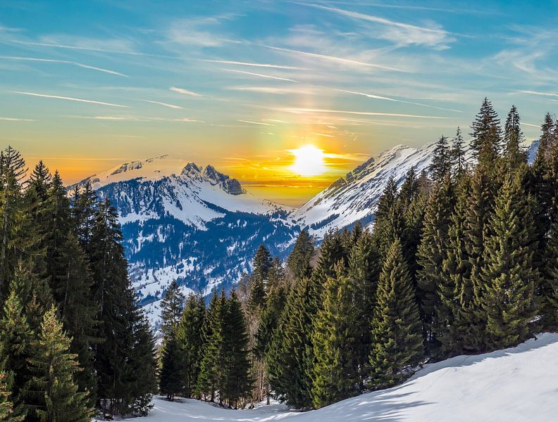 Winter in de Oostenrijkse Alpen van Animaflora PicsStock