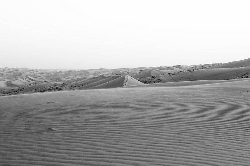 Deserts of Oman by Jim Plaum