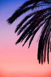 Tropische sfeer van Inspiration