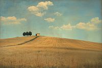 Toscaans landschap