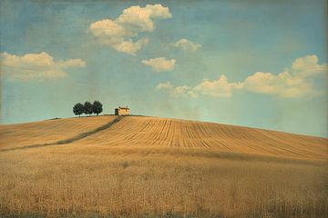 Toscaans landschap