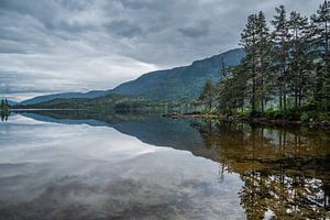 Reflectie van Sander Strijdhorst