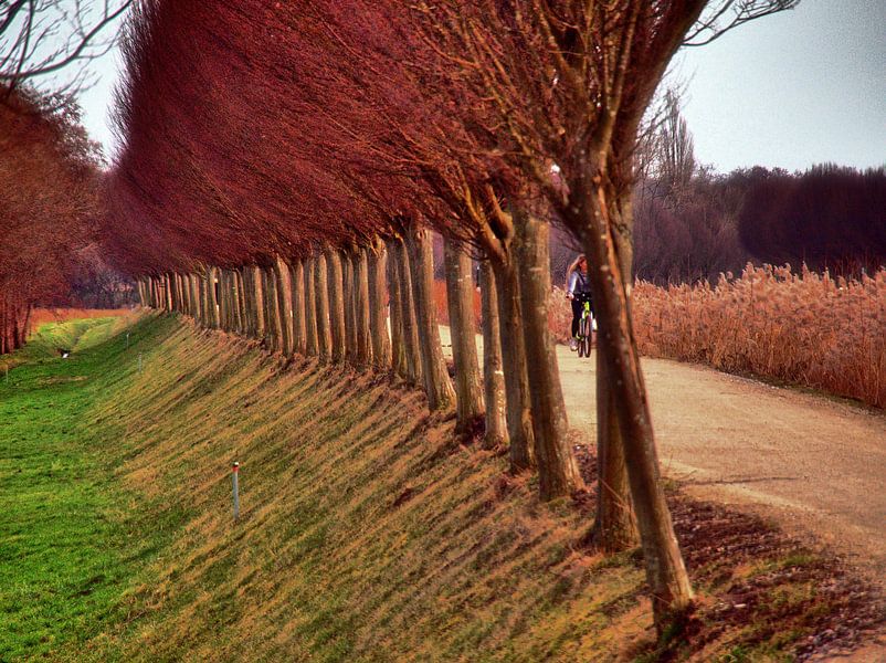 Fietspad van Edgar Schermaul