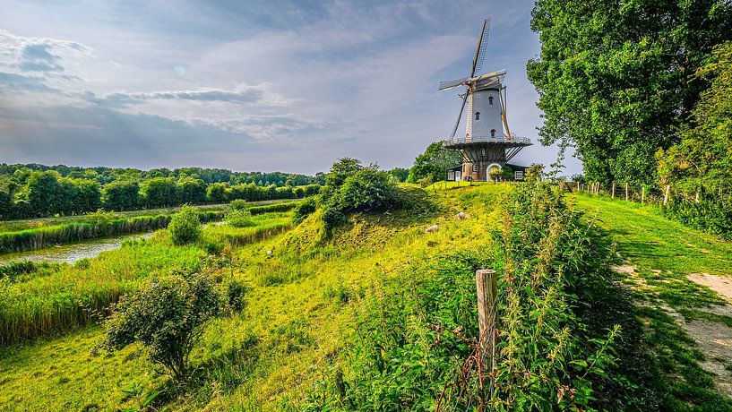 Molen De Koe, Veere, Zeeland, Nederland. van Jaap Bosma Fotografie