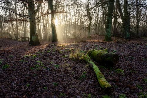 Zonsopkomst in Midden-Limburg