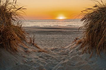 Coucher de soleil derrière les dunes sur Paul Poot