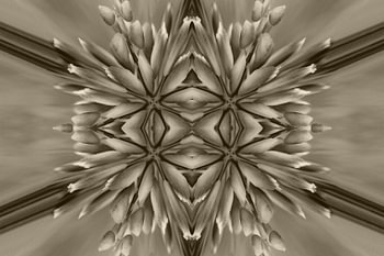 Dynamic flowers antique