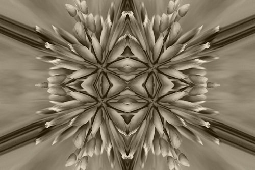 Dynamic flowers antique