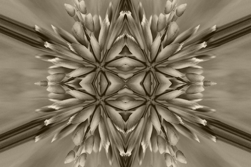 Dynamic flowers antique by Corina Scheepers-de Mooij