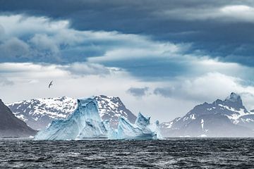 Les icebergs autour de la Géorgie du Sud sur Ron van der Stappen