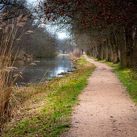 Romantic footpath in the Ankeveen Lakes by Rob IJsselstein