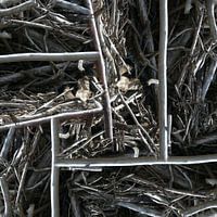 structure in driftwood (002w)
