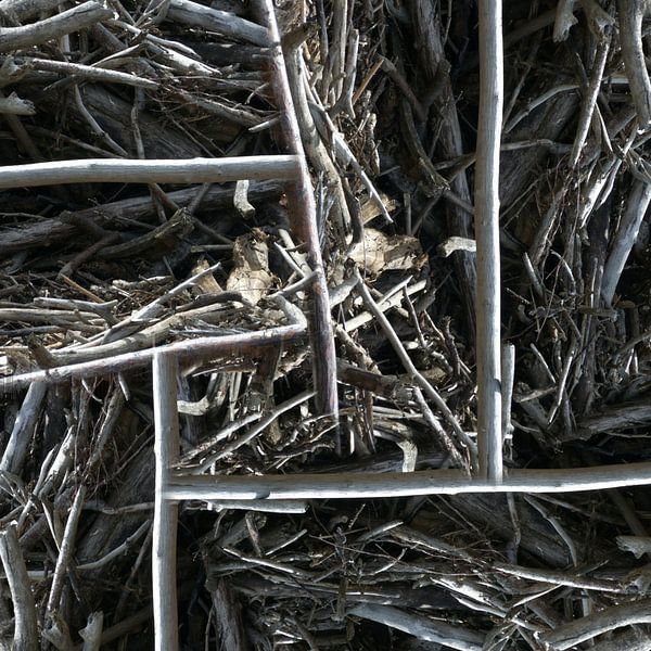 structure in driftwood (002w) van Jeroen van der Meij