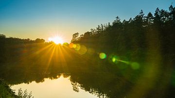 Duitsland, Stuttgart, Magische zonnestralen achter boom en bos silho van adventure-photos