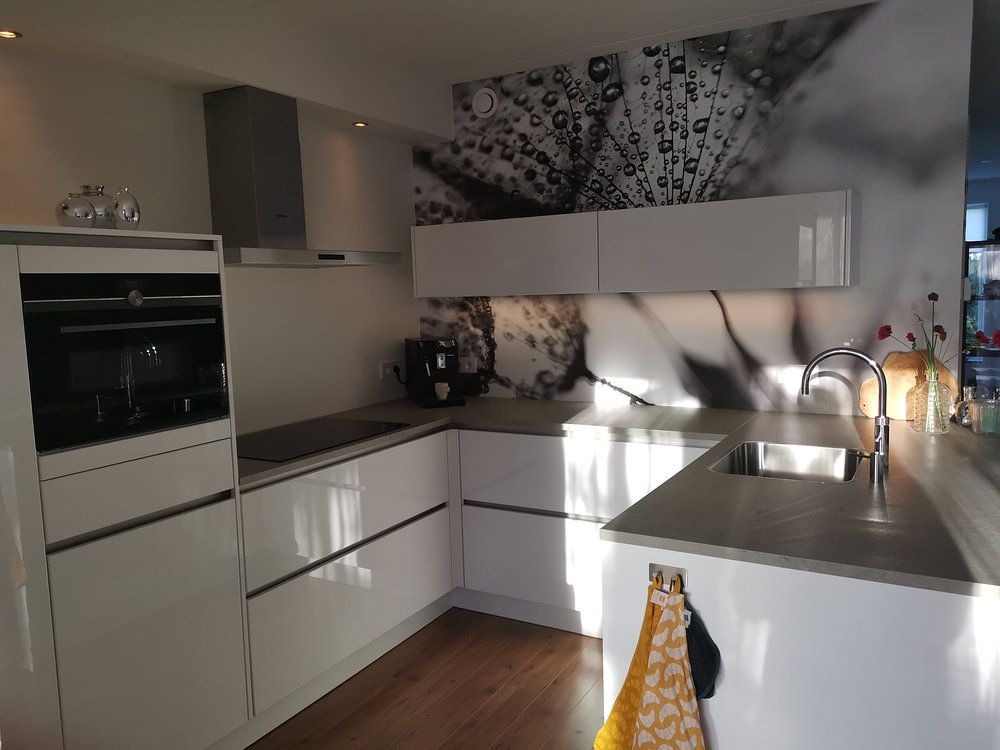 Dandelion blackandwhite von Julia Delgado