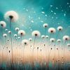 Pusteblumen im Wind von Anne Seltmann