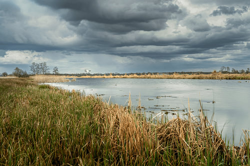 A dramatic Dutch sky with clouds over a water-rich marshland landscape