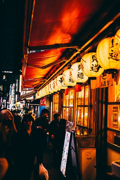 Shinjuku by Night : La jungle de néons de Tokyo par Ken Tempelers
