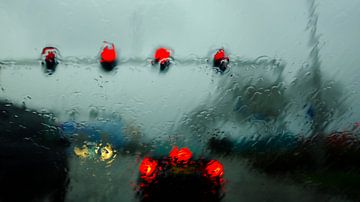 Rainy Day van Bas Vogel