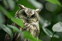Owl among jungle greenery