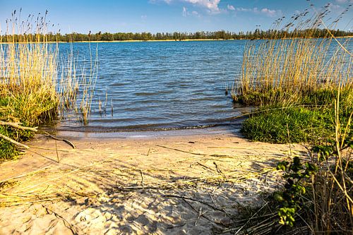 Biesbosch rivier met strandje