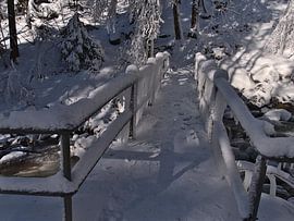 Frozen bridge in the Black Forest by Timon Schneider