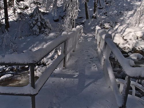 Frozen bridge in the Black Forest