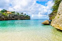 Lagun's Paradise