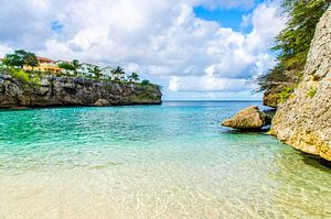Lagun's Paradise