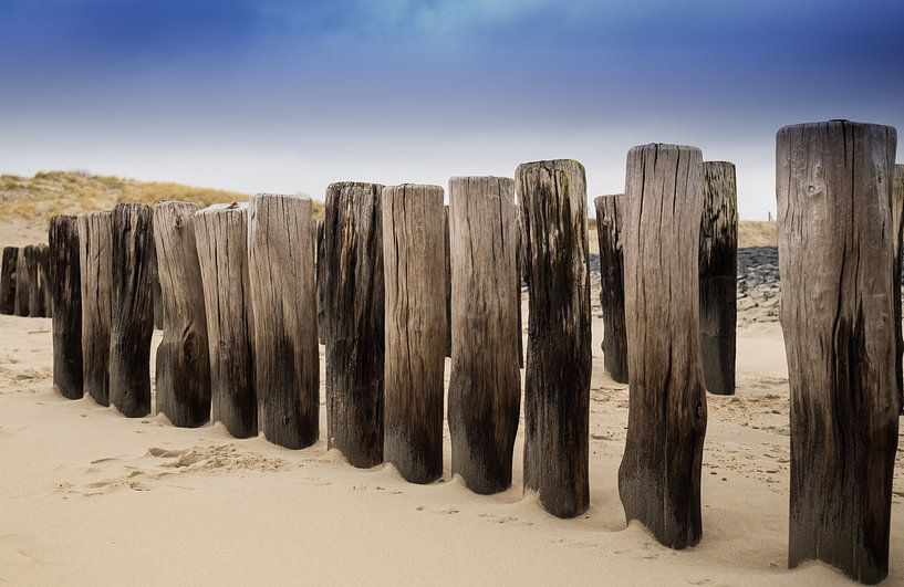 Postes sur la plage par Wim van D