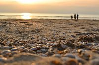 Shells at sunset, Noordwijk aan Zee