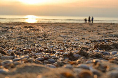 Schelpen bij zonsondergang, Noordwijk aan Zee