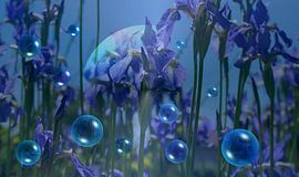 Unter Lilien by Vera Laake