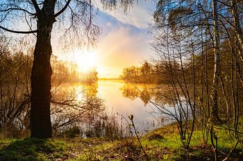 Lever de soleil dans la nature