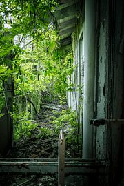 A green corridor in a lost place by Infinite Decay