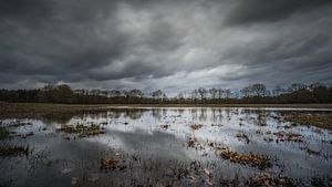 Donkere wolken boven de Grotelsche Heide van Harold van den Hurk