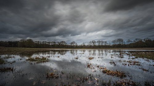 Donkere wolken boven de Grotelsche Heide