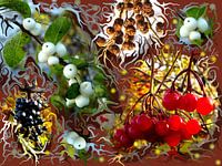 Herbstfülle