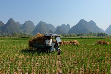 Rijstwerken in Guilin (China) van Steve Puype