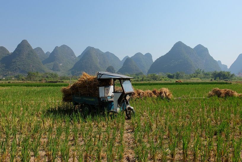 Reiswerke in Guilin (China) von Steve Puype