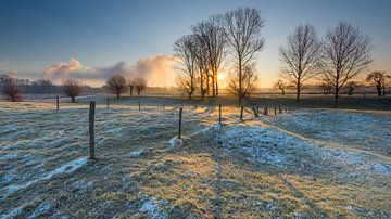 Grensmaas, Meers, Zuid- Limburg. van Ramon Stijnen