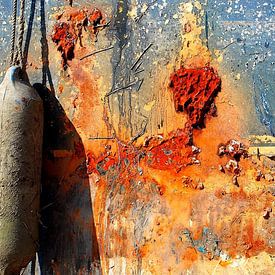 Navire perdu sur Hans Levendig (lev&dig fotografie)