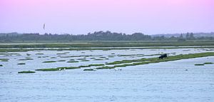 Lakescape