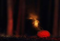 Misteriou puffball