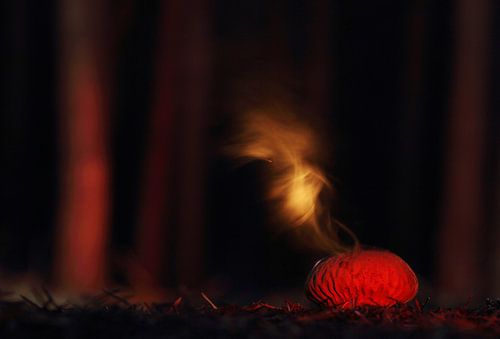 Misteriou puffball