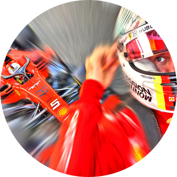 Vettel #5 van DeVerviers