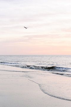 Pastelroze zonsondergang op het strand I | zee | kust | Nederland van Mirjam Broekhof