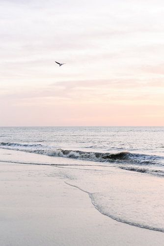 Pastellrosa Sonnenuntergang am Strand I | Meer | Küste | Niederlande