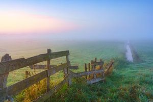Matin brumeux sur les terres agricoles